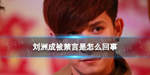 刘洲成被禁言是怎么回事 刘洲成玩家暴梗被禁言