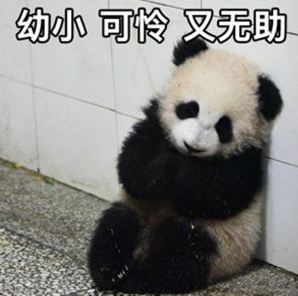 瑟瑟发抖是什么梗