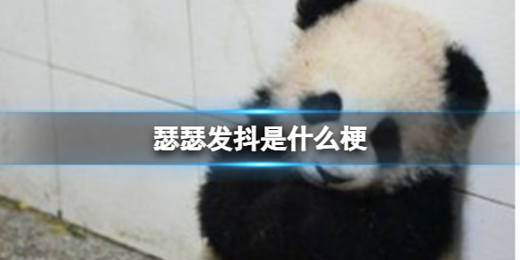 瑟瑟发抖是什么梗
