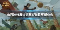 哈利波特魔法觉醒3月5日更新公告