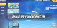 《摩尔庄园手游》白白鲸在哪 白白鲸在哪钓