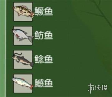 《小森生活》鱼类分布在哪 鱼类分布位置介绍
