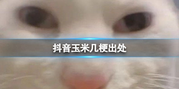抖音玉米几梗出处