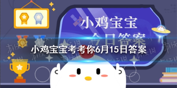 小鸡宝宝考考你运动过后拉伸，要拉到局部疼痛才有效果，该说法