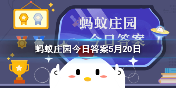 小鸡庄园今天答案5.20 庄园小课堂今日答案2021年5月20日	