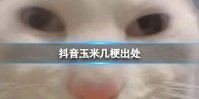 抖音玉米几梗出处