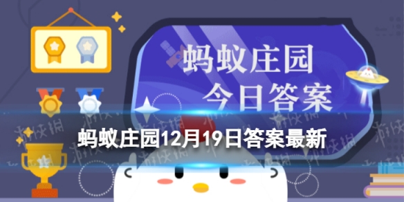 下列哪种蔬菜蚂蚁庄园 蚂蚁庄园今日答案12.19