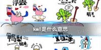 kml是什么梗 kml是什么意思