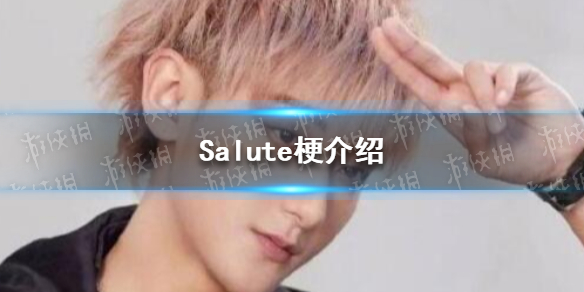 salute是什么意思梗 Salute梗介绍