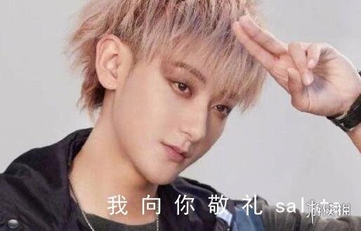 salute是什么意思梗 Salute梗介绍