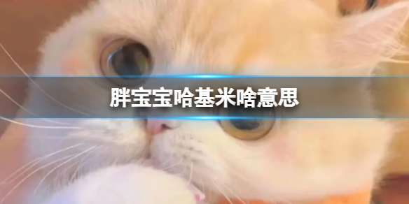 胖宝宝哈基米啥意思 胖宝宝哈基米科普