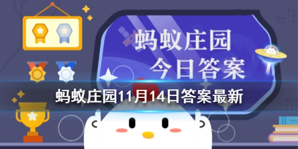 小鸡庄园吃核桃可以让人更聪明吗11.14 庄园小课堂吃核桃能让人更聪明答案