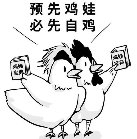 鸡娃什么意思