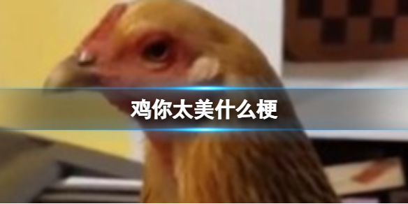 鸡你太美什么梗