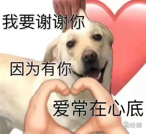 听我说谢谢你表情包 听我说谢谢你梗图