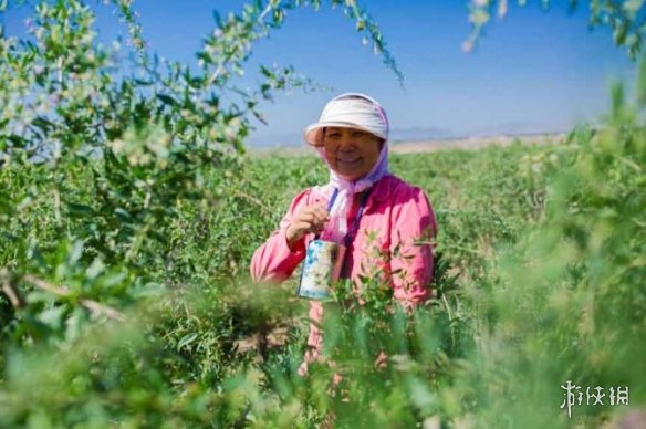 支付宝蚂蚁庄园小课堂2019年6月5日答案