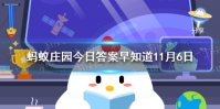 含绒量100%的羽绒服是真的吗 蚂蚁庄园今日答案早知道11月6日