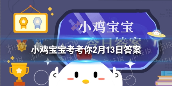 短道速滑运动员为什么用手摸地 蚂蚁庄园短道速滑弯道