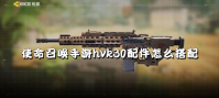 使命召唤手游hvk30配件怎么搭配