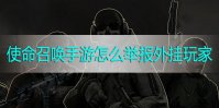 使命召唤手游怎么举报外挂玩家