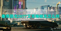 赛博朋克2077艾芙琳帕克怎么样