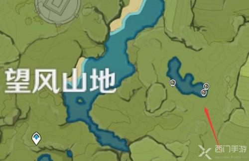 原神金鱼草在哪里找