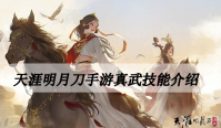 天涯明月刀手游真武技能介绍