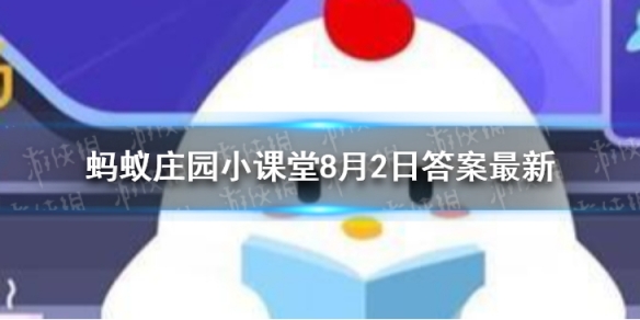 奥林匹克村选手村 奥运会选手蚂蚁庄园8.2