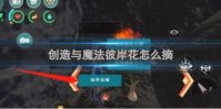 创造与魔法彼岸花怎么摘