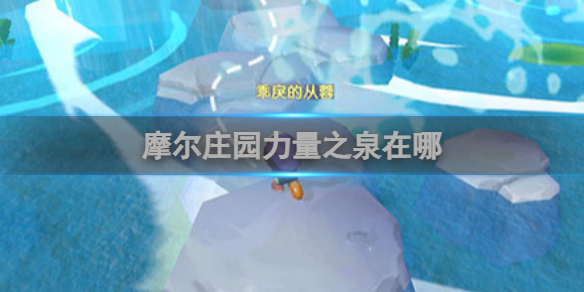 摩尔庄园力量之泉在哪
