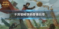 哈利波特不用管啼哭的曼德拉草 哈利波特拼图寻宝10.23