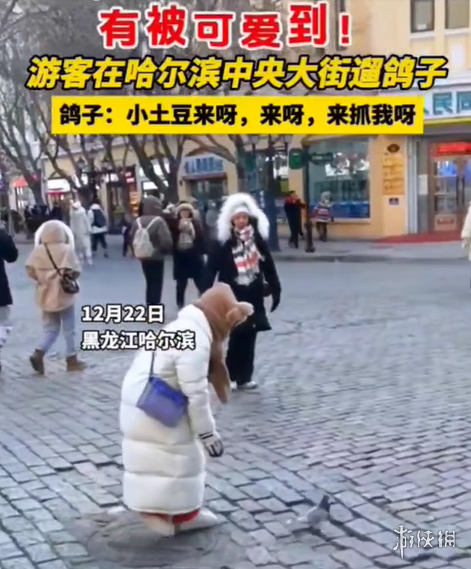 南方小土豆是啥意思?