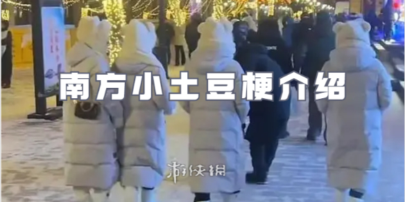 南方小土豆是啥意思?