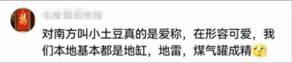 南方小土豆是啥意思?