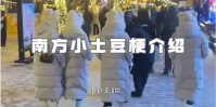 南方小土豆是啥意思?