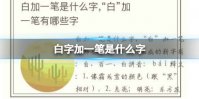 白字加一笔是什么字