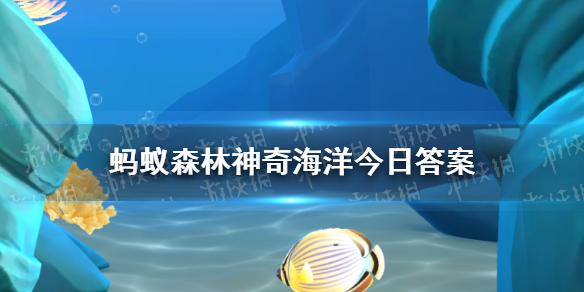 支付宝哪种海洋动物拥有10只触手 神奇海洋今日答案8.16