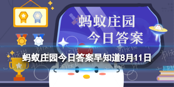 猜一猜：海洋里的海绵是植物还是动物 蚂蚁庄园今日答案早知道8月11日