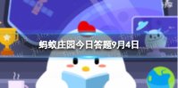 蚂蚁庄园大熊猫的尾巴 9.4蚂蚁庄园答案