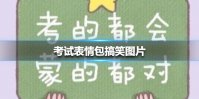 考试表情包搞笑图片 考试表情包九连图