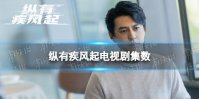 纵有疾风起一共多少集 纵有疾风起电视剧集数
