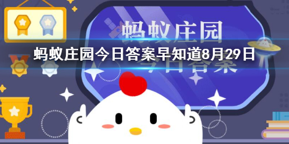 蜘蛛的丝是从哪里吐出来的 蚂蚁庄园答案早知道8月29日