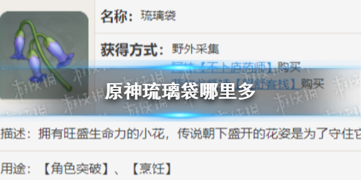 《原神》琉璃袋哪里采集 琉璃袋在哪