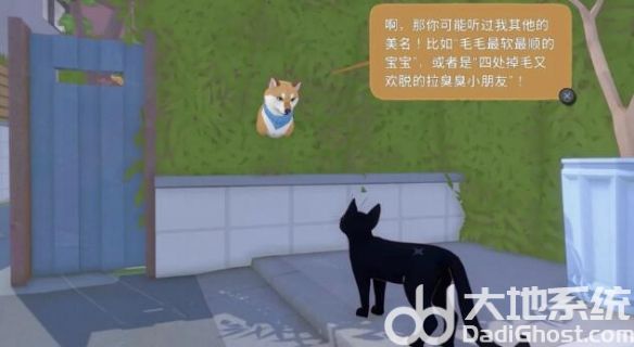 小猫咪大城市动物有哪些 小猫咪大城市全动物伙伴图鉴