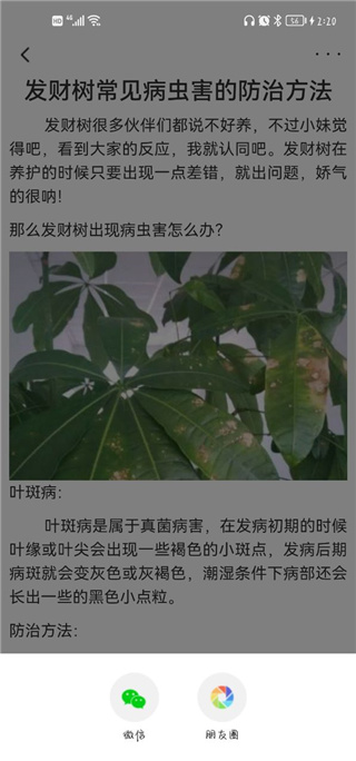 花医生手机版