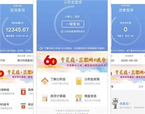 宁政通app