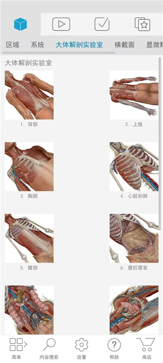 atlas人体解剖软件2024