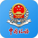 河南税务app