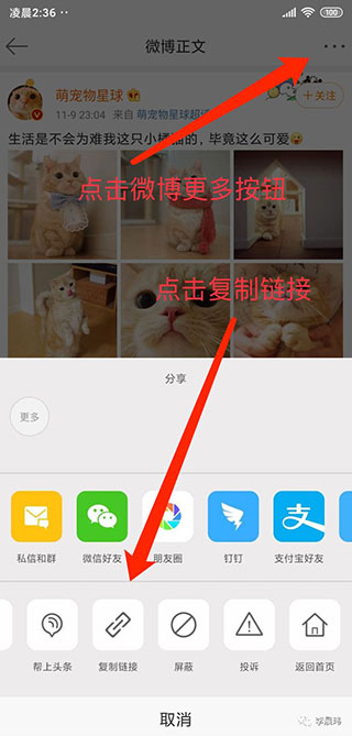 便捷下载解锁高级版